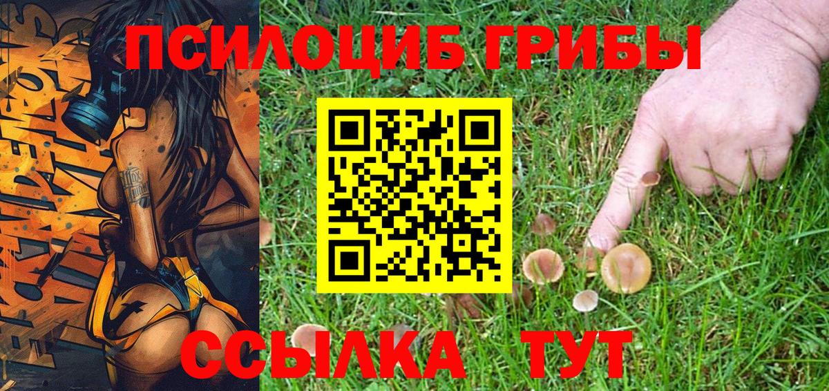 Псилоцибиновые грибы Magic Shrooms Белорецк